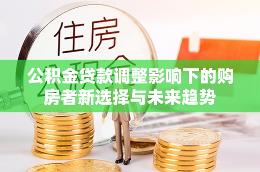 新界公积金贷款调整影响下的购房者新选择与未来趋势