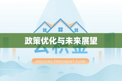 新界政策优化与未来展望