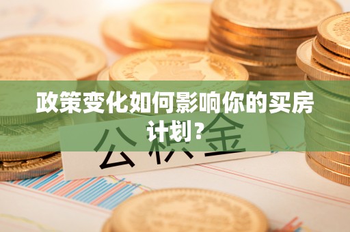 新界政策变化如何影响你的买房计划？