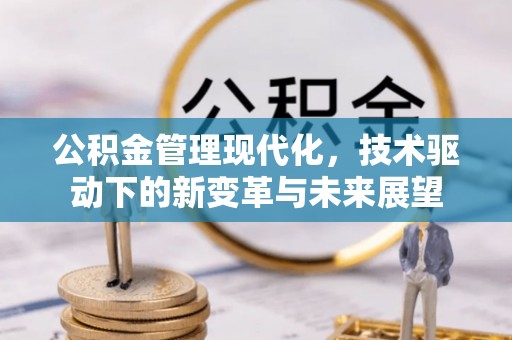 新界公积金管理现代化，技术驱动下的新变革与未来展望