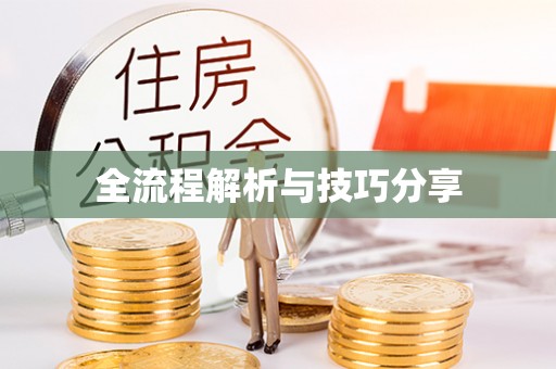 新界全流程解析与技巧分享
