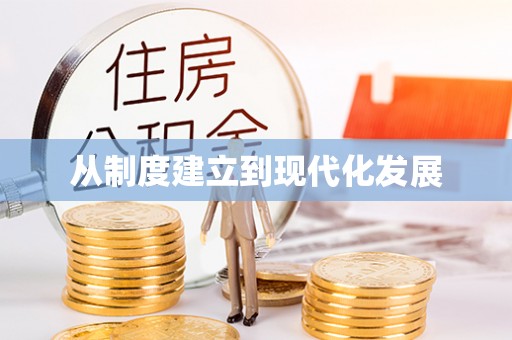 新界从制度建立到现代化发展