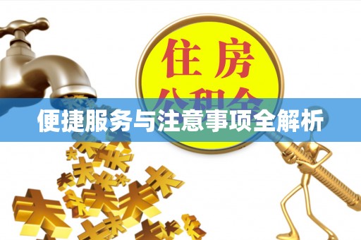 新界便捷服务与注意事项全解析