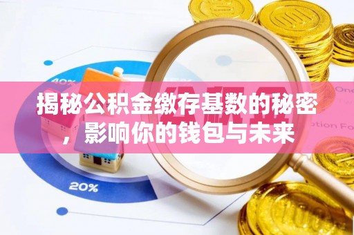新界揭秘公积金缴存基数的秘密，影响你的钱包与未来