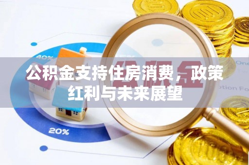 新界公积金支持住房消费，政策红利与未来展望