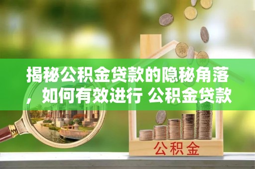新界揭秘公积金贷款的隐秘角落，如何有效进行 公积金贷款风险防控