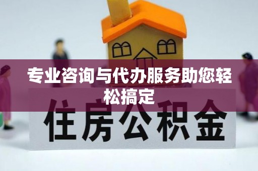 新界专业咨询与代办服务助您轻松搞定