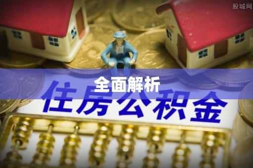 新界全面解析