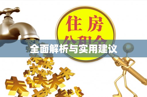 新界全面解析与实用建议