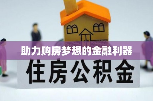 新界助力购房梦想的金融利器