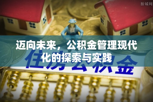新界迈向未来，公积金管理现代化的探索与实践