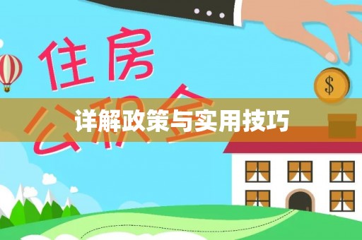 新界详解政策与实用技巧