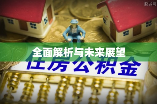 新界全面解析与未来展望