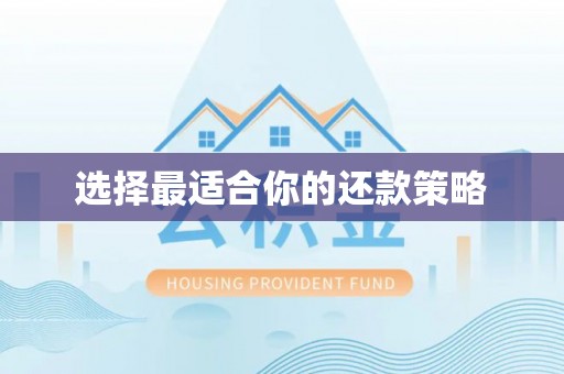新界选择最适合你的还款策略