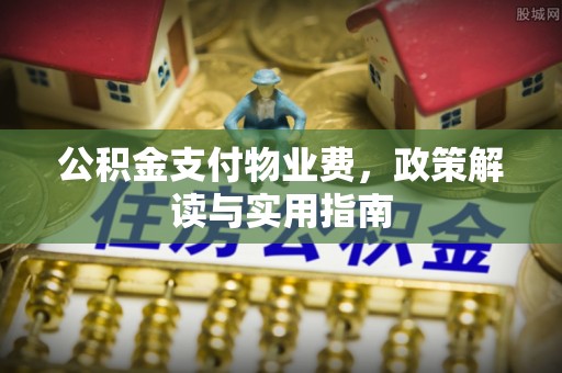 新界公积金支付物业费，政策解读与实用指南