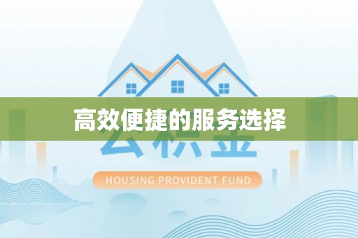 新界高效便捷的服务选择