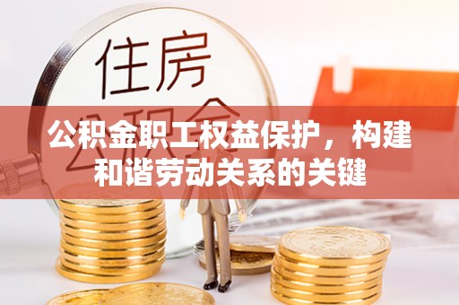 新界公积金职工权益保护，构建和谐劳动关系的关键