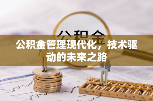 新界公积金管理现代化，技术驱动的未来之路